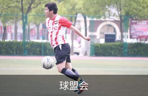 球盟会概况